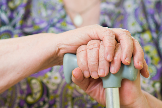 pečovatelská služba pečovatelská služba